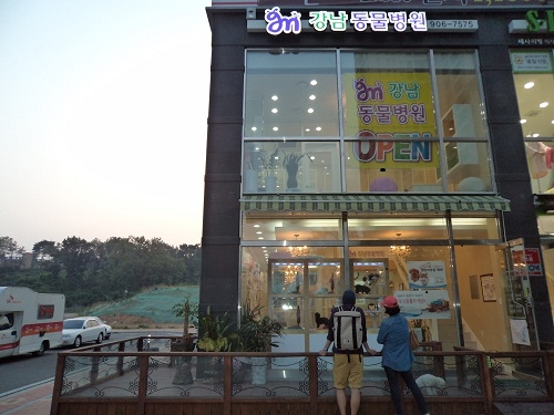 강남동물병원