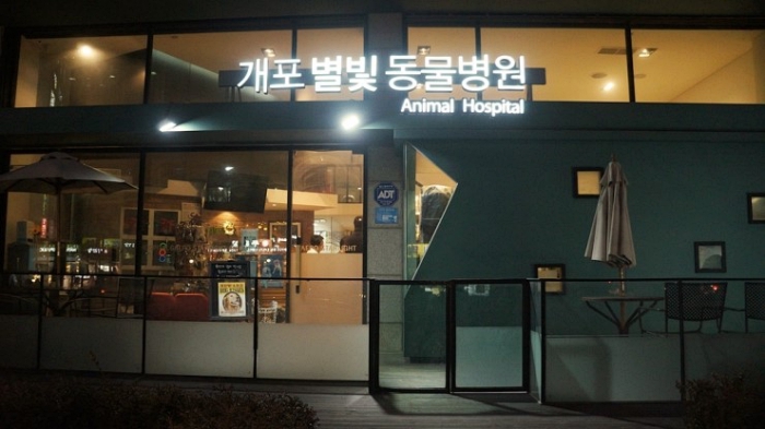 개포별빛동물병원