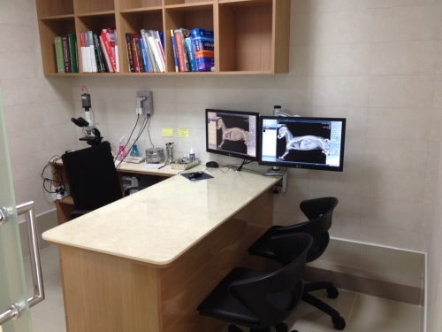 닥터윤24시 동물병원