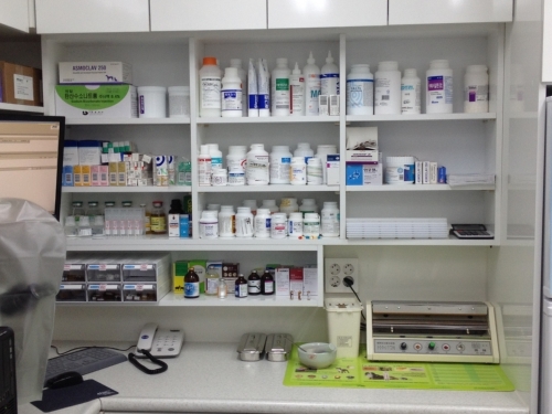 닥터윤24시 동물병원