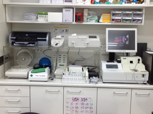 닥터윤24시 동물병원