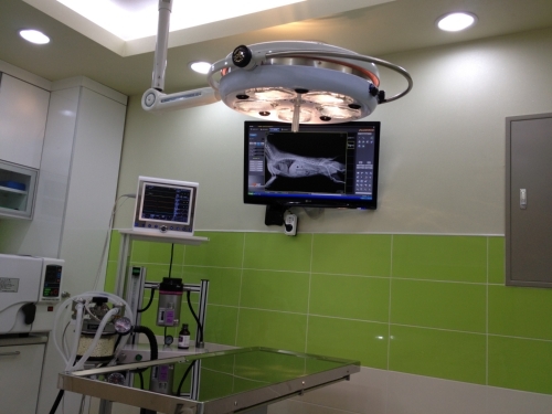 닥터윤24시 동물병원