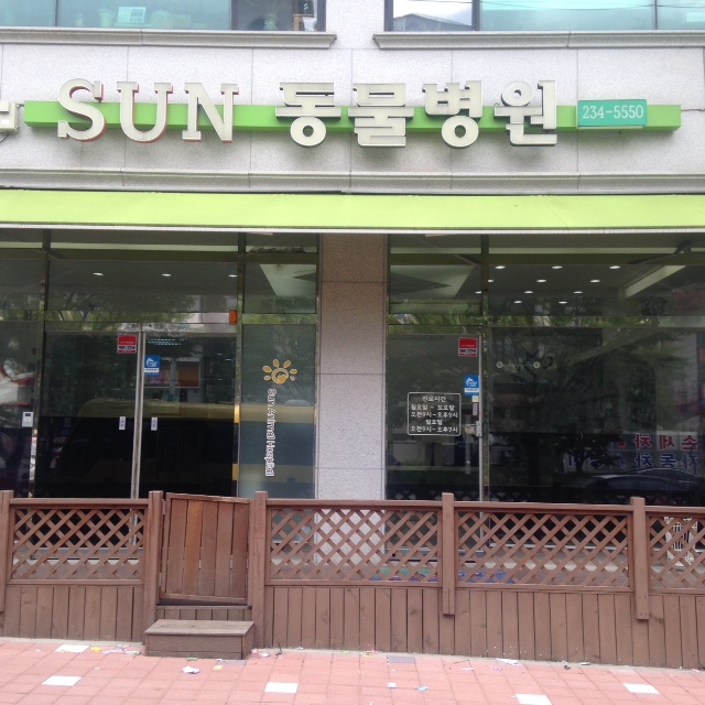 SUN동물병원