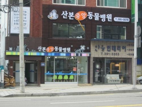 산본중앙동물병원