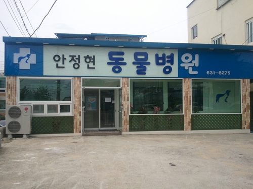 안정현동물병원