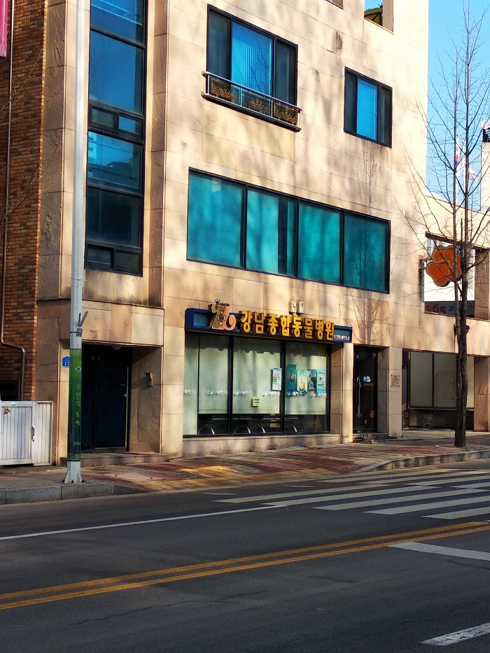 강남종합동물병원