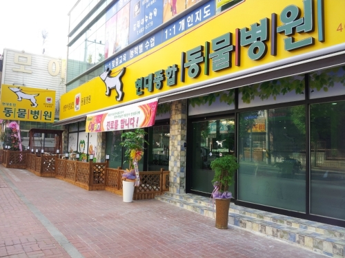 현대동물병원
