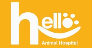 헬로동물병원