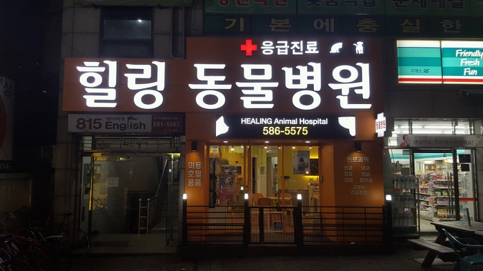 힐링동물병원