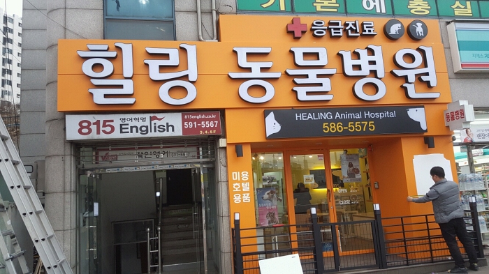 힐링동물병원