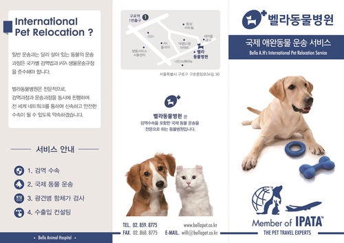 벨라동물병원
