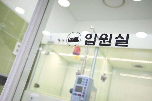 마루동물병원
