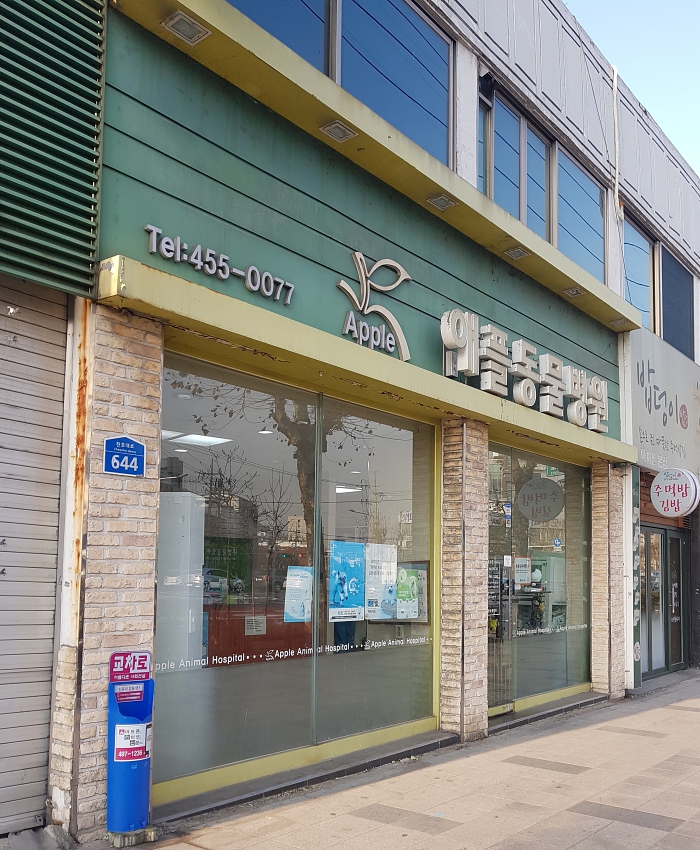 애플동물병원