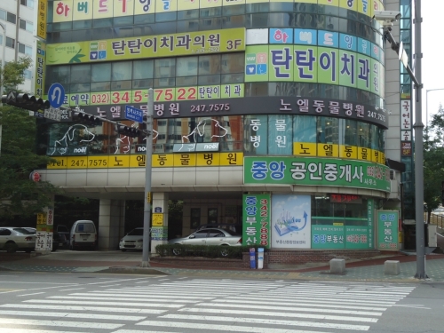 노엘동물병원