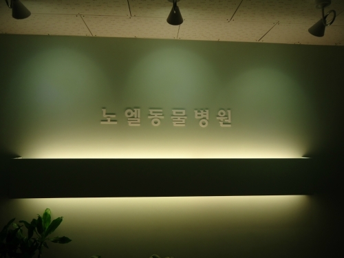 노엘동물병원