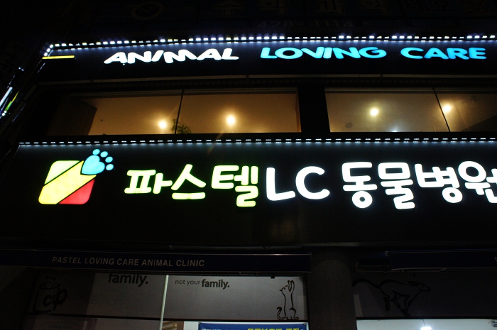 파스텔LC동물병원