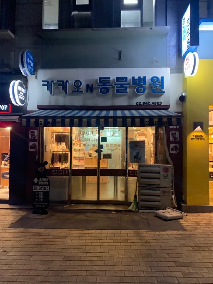 카카오N동물병원