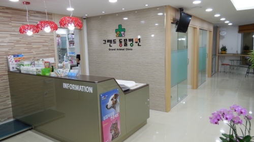 그랜드동물병원