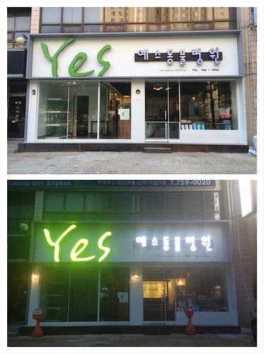 예스동물병원