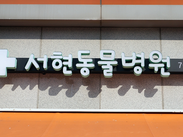 서현동물병원