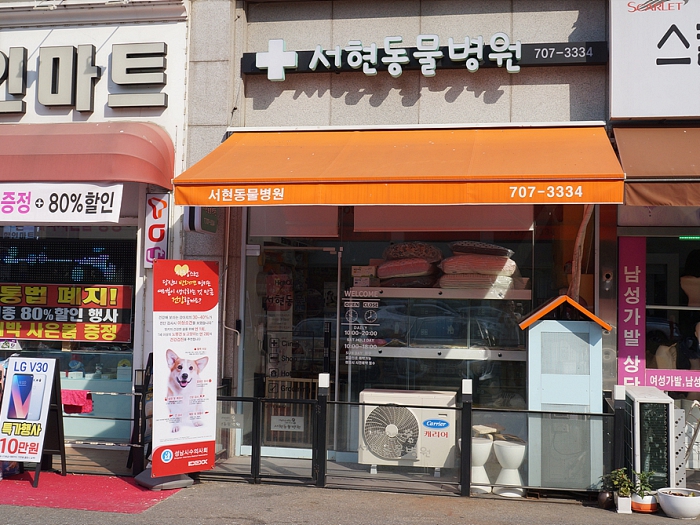 서현동물병원