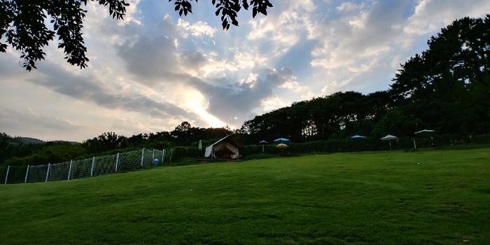 눈보뛰