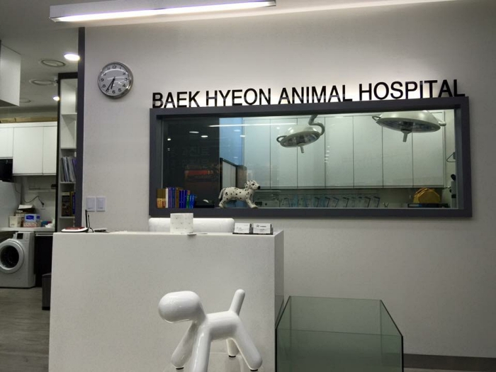 백현고양이병원