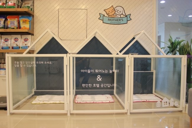 마더스동물병원