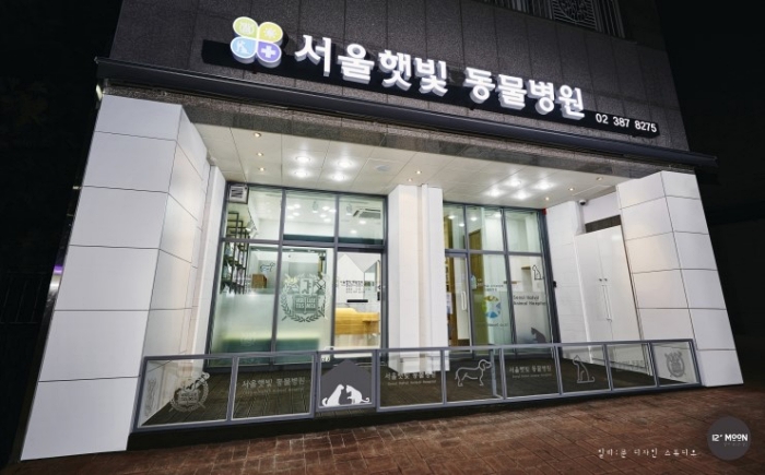 서울햇빛동물병원