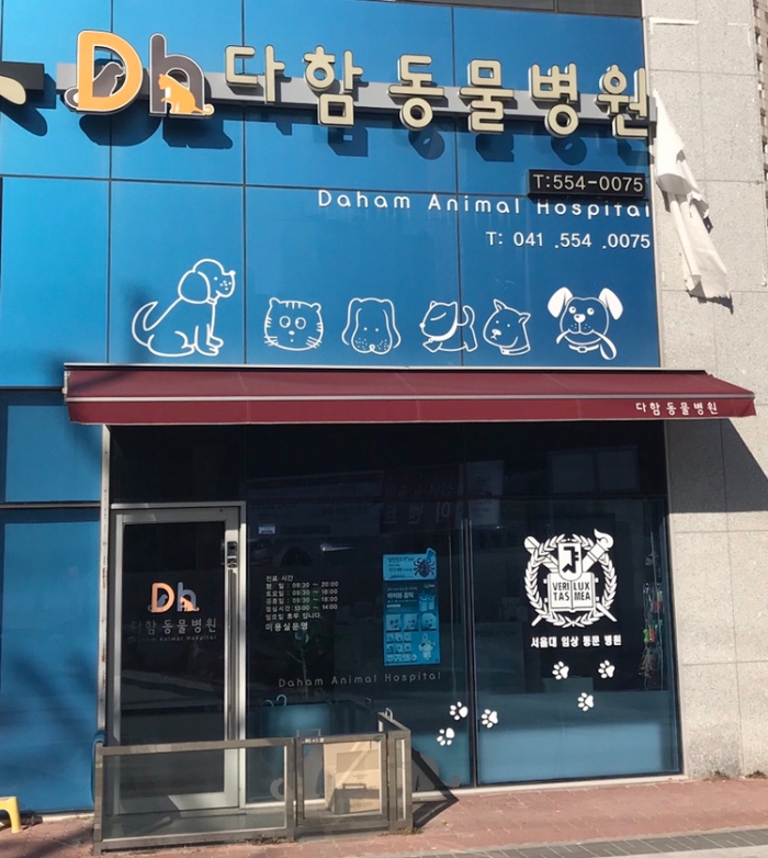 다함동물병원