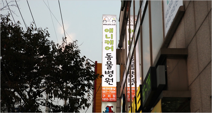 애니케어동물병원