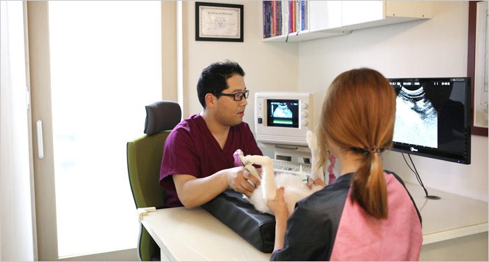 애니케어동물병원