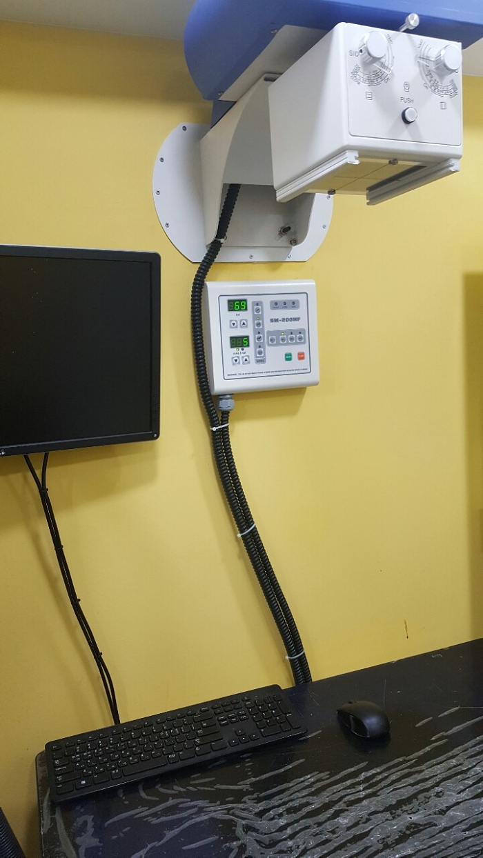 우리펫동물병원