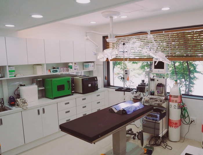 송파 스마일동물병원