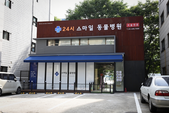 송파 스마일동물병원