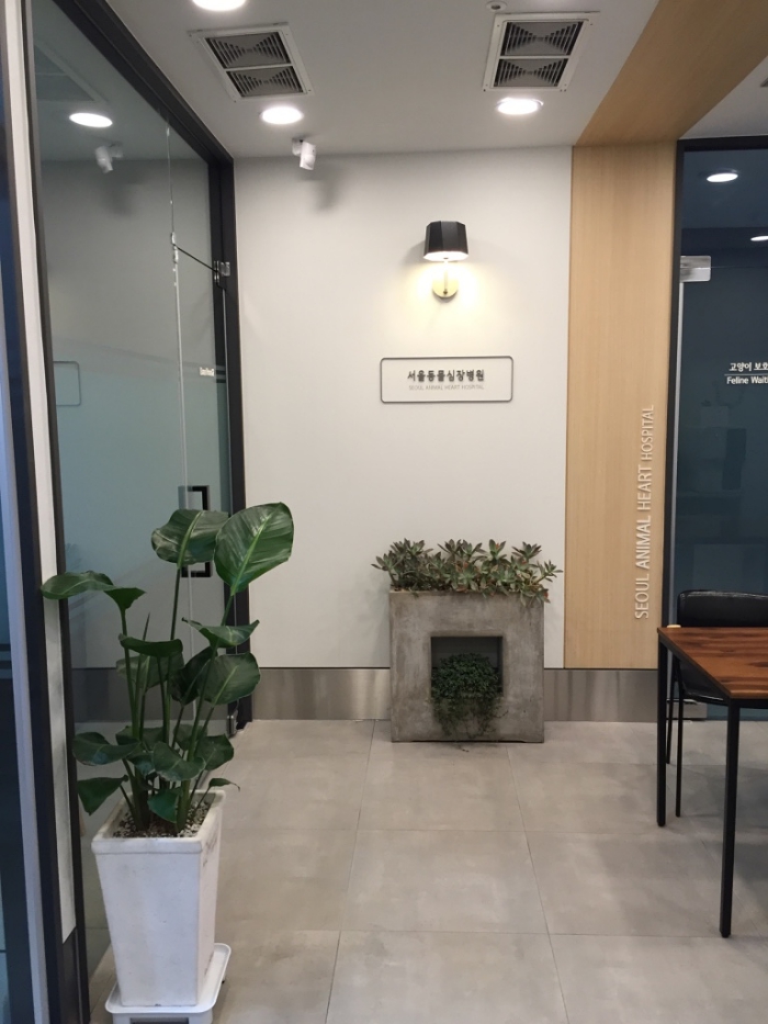 서울동물심장병원