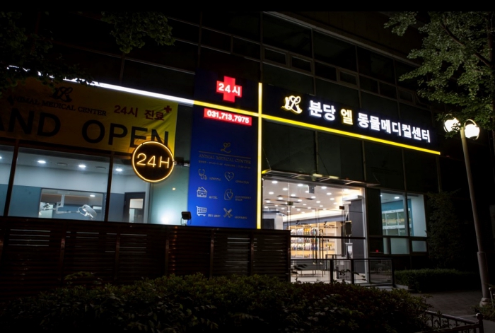 24시 더클래스 동물메디컬센터