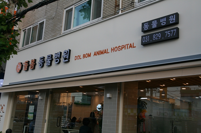 녹양 돌봄 동물병원