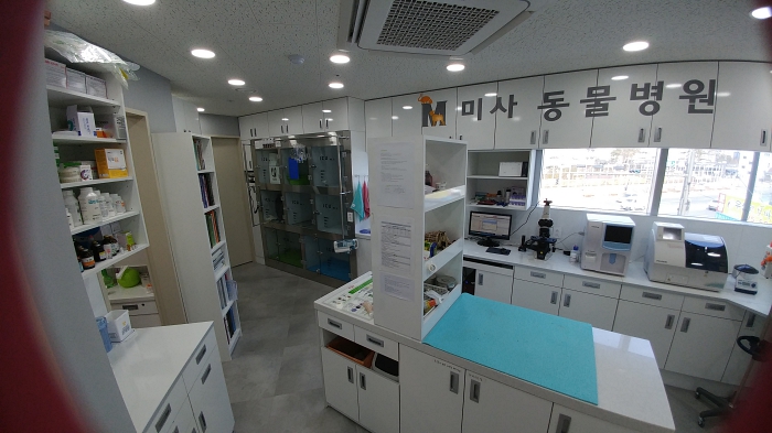 미사동물병원