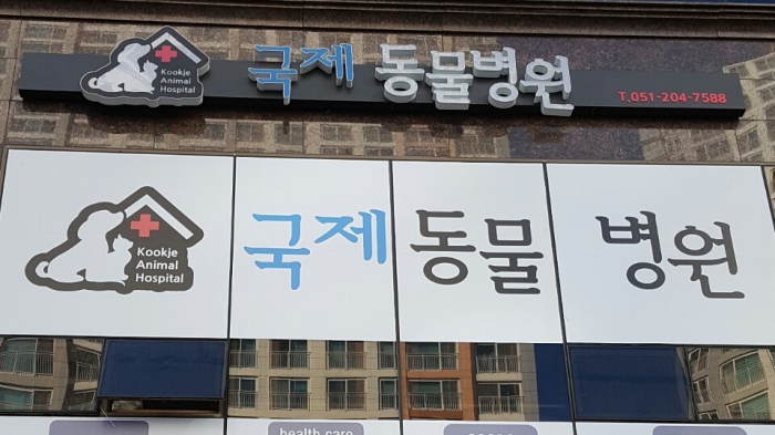 국제동물병원