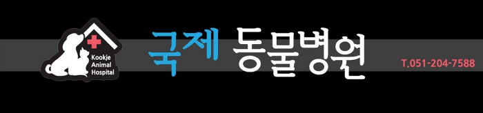 국제동물병원