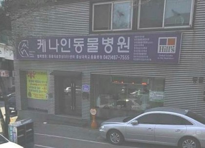 케나인동물병원