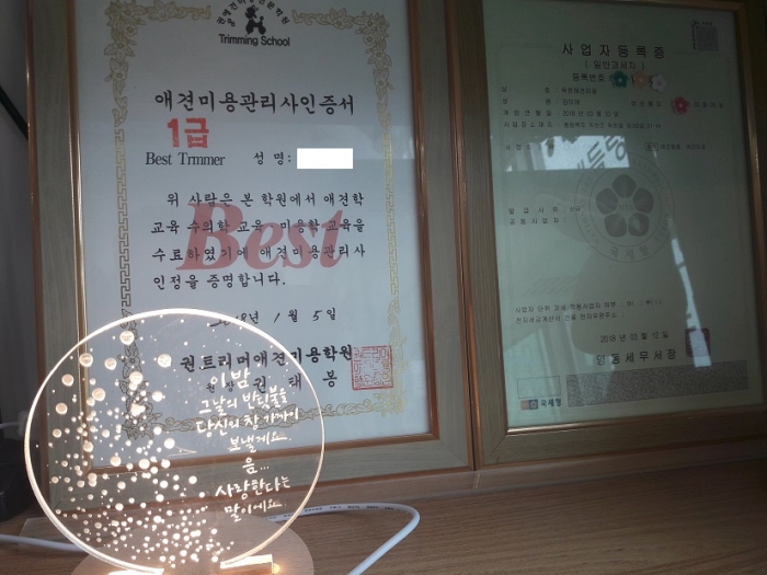 옥천애견미용
