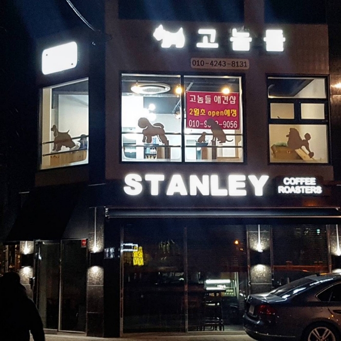 고놈들