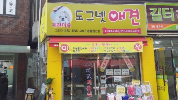 도그넷 애견미용실