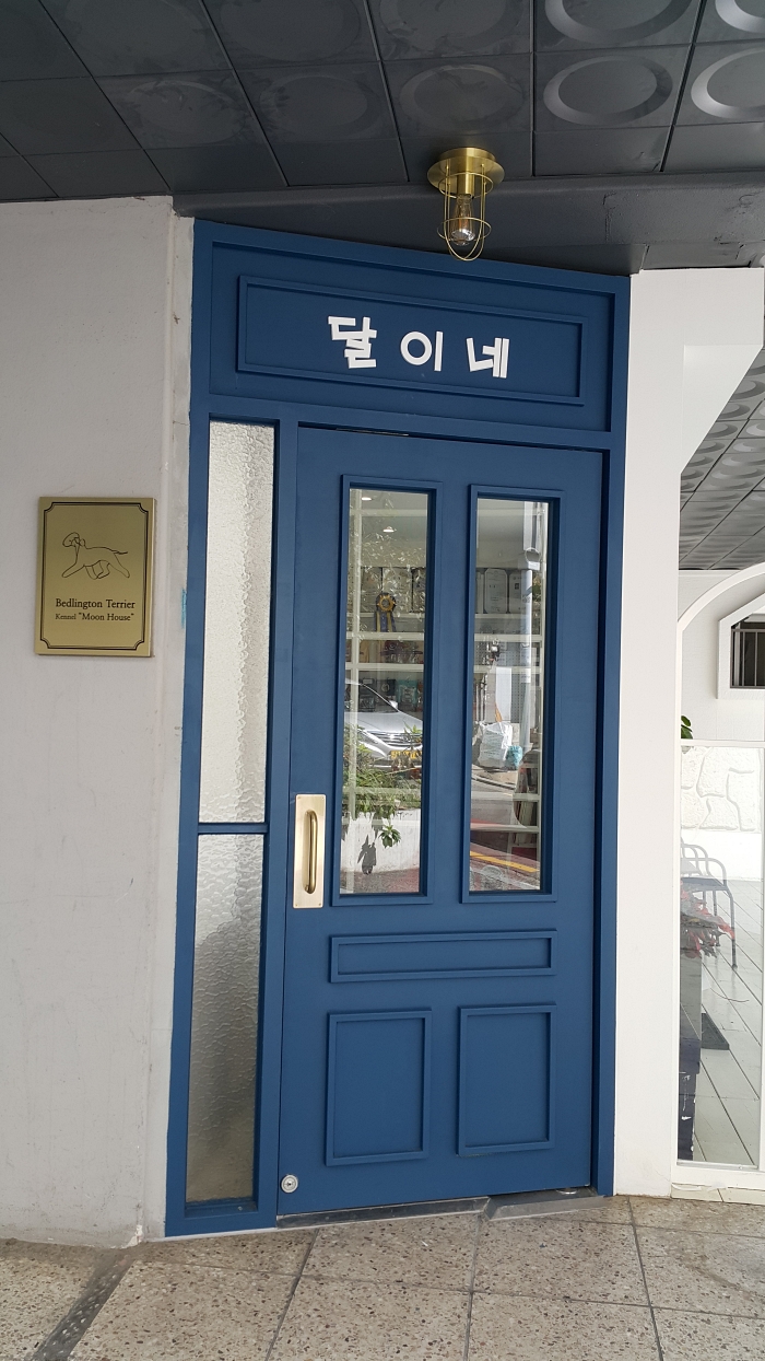 달이네 애견미용실