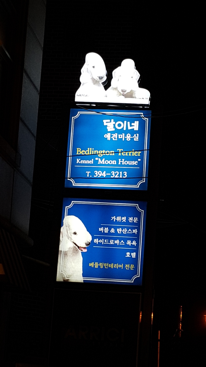 달이네 애견미용실