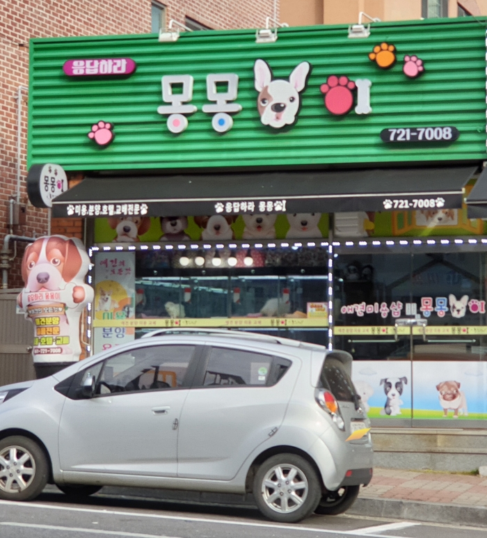 응답하라몽몽이