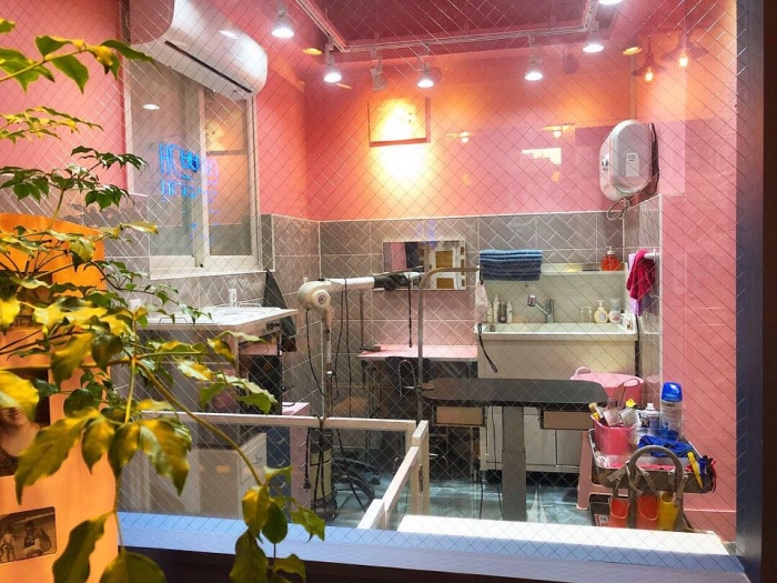 몽몽샵