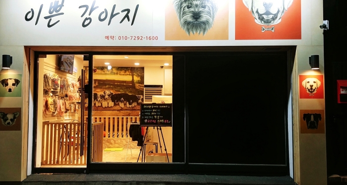 이쁜강아지